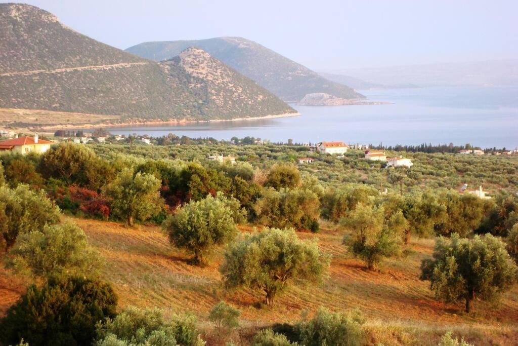 Panoramic View Summerhouse Loukissia Exterior foto